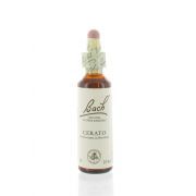 BACH FLOWER 05 CERATO PLUM 20 ML