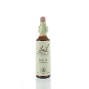 BACH FLOWER 15 HOLLY 20 ML      