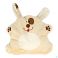 Inatura Coussin Chauffant Cherry Belly Baby Chien - Produit 1