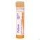 Pollens 15Ch gr 4G Boiron - Detail 1
