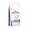 Royal Canin Roayl Canin Chien Vitality/dental Mature 3,5 kg
