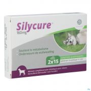 Silycure 160Mg Comp 2X15 - Detail 1