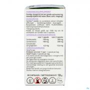 Arkocaps Gember Caps 40 Nf