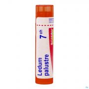 Ledum Palustre 7Ch gr 4G Boiron - Detail 1