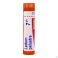 Ledum Palustre 7Ch gr 4G Boiron - Detail 1