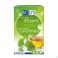 Biolys gingko The Vert 24 Sachets