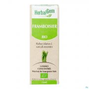 Herbalgem Frambozen Maceraat 15Ml