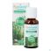 Puressentiel Complexe Diffusion Promenade En Foret 30 ml - Produit 2
