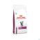 Royal Canin Vet Cat Renal Dry 4 kg - Vue détail 1