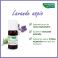 Phytosun Lavande Aspic Fr-bio-01 Be2 5ml