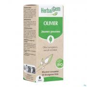 Herbalgem Olijfboom Bio 30Ml