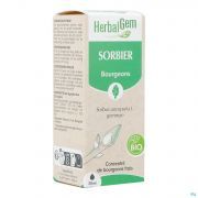 Herbalgem Lijsterbes Bio 30Ml