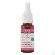 Bach Bloesems Bachflower Bio Energie N40 20 ml