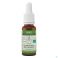 Bach Bloesems Bachbloesem Bio N°43 Druppels Motivatie 20Ml