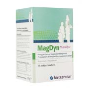 METAGENICS MAGDYN SACHETS 15 X 81,2 G 