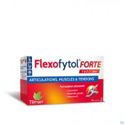 Flexofytol Forte Comp Pell 28 Nf