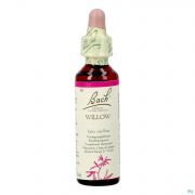 Bach Flower Remedie 38 Willow 20ml