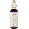 Bach Flower Remedie 34 Water Violet 20ml