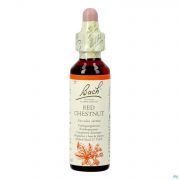 Bach Flower Remedie 25 Red Chestnut 20ml
