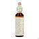 Bach Flower Remedie 25 Red Chestnut 20ml