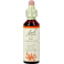Bach Flower Remedie 25 Red Chestnut 20ml
