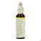 Bach Flower Remedie 37 Wild Rose 20ml
