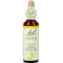 Bach Flower Remedie 37 Wild Rose 20ml
