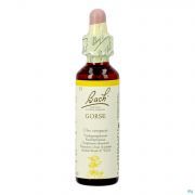 Bach Flower Remedie 13 Gorse 20ml