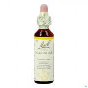 Bach Flower Remedie 28 Scleranthus 20ml