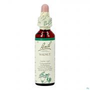 Bach Flower Remedie 33 Walnut 20ml