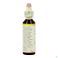 Bach Flower Remedie 09 Clematis 20ml