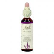 Bach Flower Remedie 14 Heather 20ml
