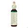 Bach Flower Remedie 01 Agrimony 20ml