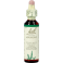 Bach Flower Remedie 01 Agrimony 20ml