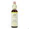 Bachflowers Bach Flower Remedie 21 Mustard 20Ml
