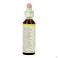 Bach Flower Remedie 21 Mustard 20ml