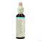 Bach Flower Remedie 31 Vervain 20ml