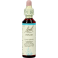Bach Flower Remedie 31 Vervain 20ml