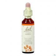 Bach Flower Remedie 02 Aspen 20ml