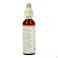 Bach Flower Remedie 02 Aspen 20ml