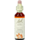 Bach Flower Remedie 02 Aspen 20ml