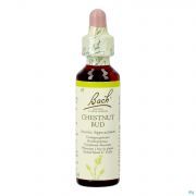 Bach Flower Remedie 07 Chestnut Bud 20ml