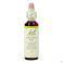 Bach Flower Remedie 07 Chestnut Bud 20ml
