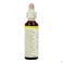 Bach Flower Remedie 07 Chestnut Bud 20ml