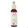 Bach Flower Remedie 22 Oak 20ml