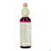 Bach Flower Remedie 22 Oak 20ml
