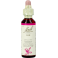 Bach Flower Remedie 22 Oak 20ml