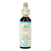 Bach Flower Remedie 03 Beech 20ml