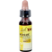 Bach Rescue Junior Gutt 10ml