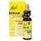 Bach Rescue Pets Gouttes 10ml